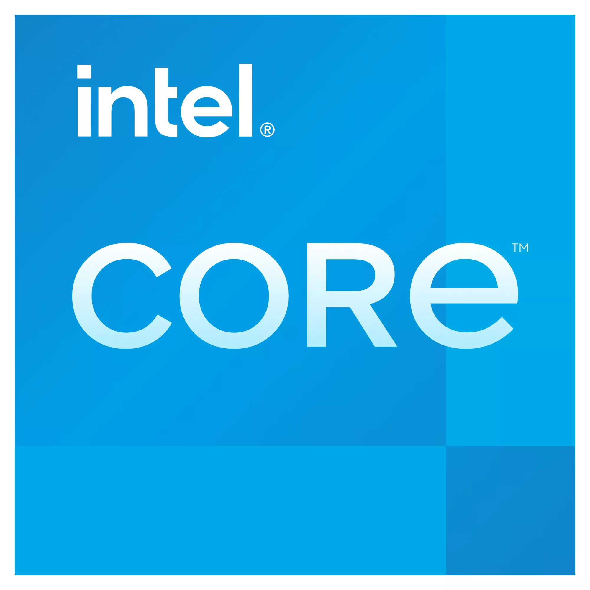 Intel Dual Core | 8GB RAM | 480GB SSD | 500GB HDD | Windows 10